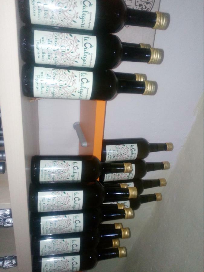 B&B Le Calegare 디아노 카스텔로 외부 사진